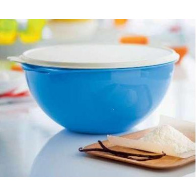 Максимилиан (7,8 л) Б03 Tupperware