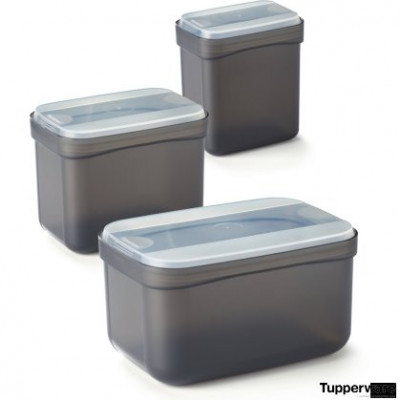 Набор контейнеров "Тип-Топ" (450 мл/1 л/2,2 л) РП023 Tupperware